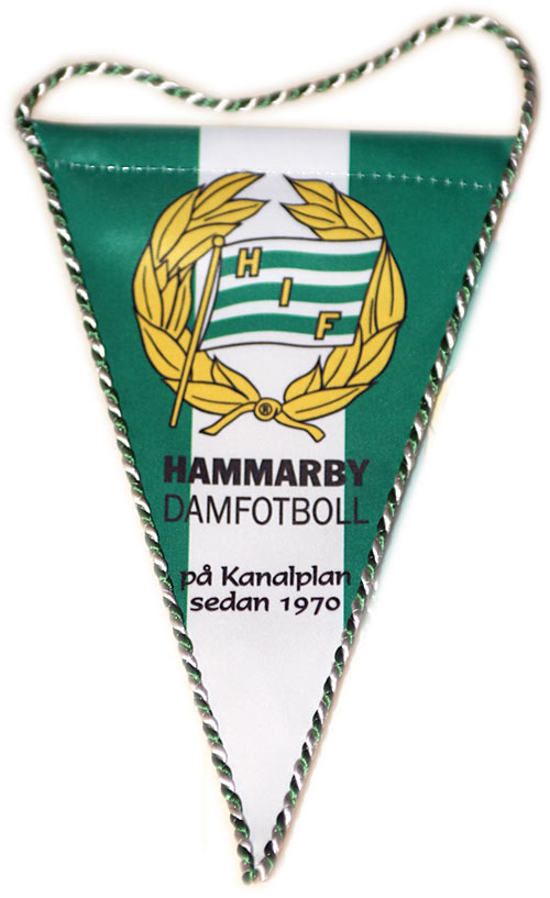 Hammarby Historia